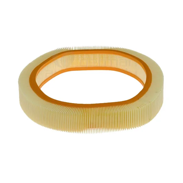 Air Filter 0020943004