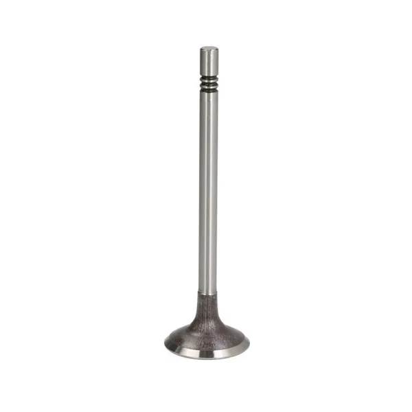 Valve 04L 109 601 B