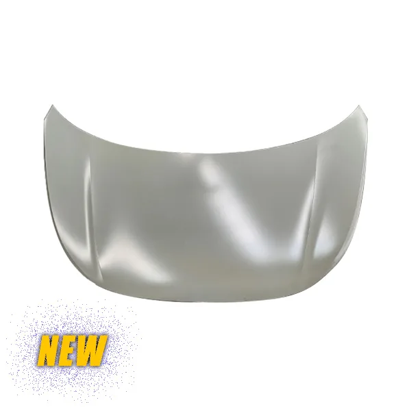 Hatch Cover 12D 823 031