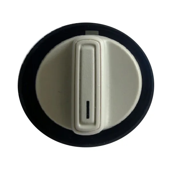 Sunroof Switch 34D 959 613 Y20