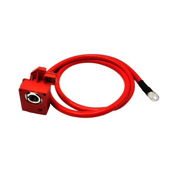 Battery Cable 61126989780