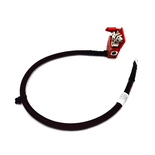 Battery Cable 61128796040