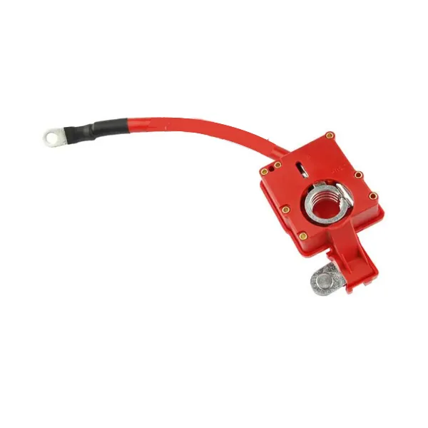 Battery Cable 61129217017