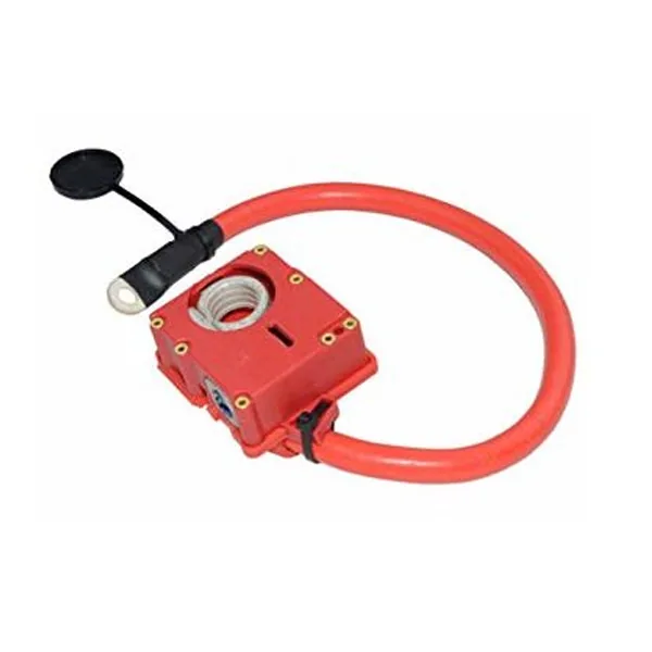 Battery Cable 61129217031