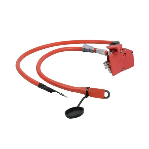 Battery Cable 61129253111